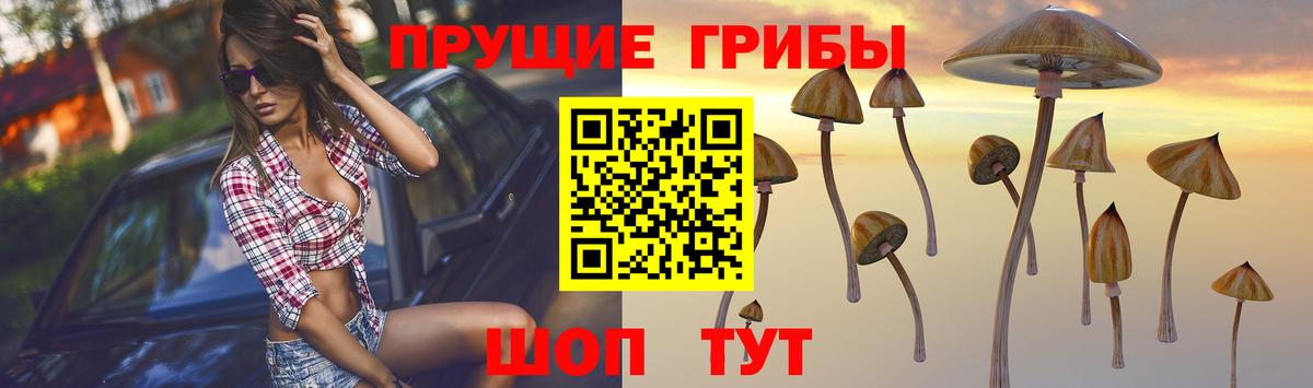 Усть-Илимск  купить наркоту  Вход с VPN  Галлюциногенные грибы Cubensis 